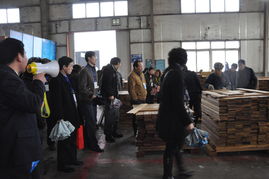 自然与品质的盛宴 永吉地板大型团购活动策划与执行实录